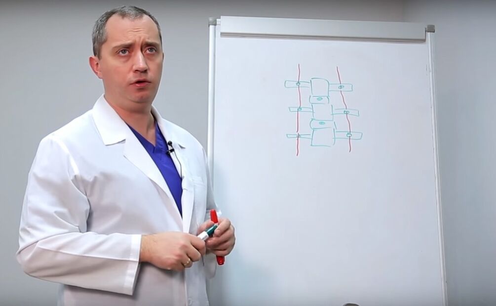 Gydytojas parodo stuburo struktūrą